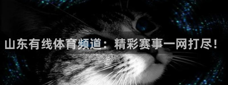 龙门飞甲超清在线播放：山东有线体育频道：精彩赛事一网打尽！