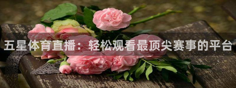 龙门直播体育：五星体育直播：轻松观看最顶尖赛事的平台