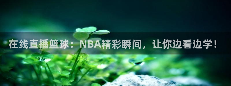 龙门体育直播：在线直播篮球：NBA精彩瞬间，让你边看边学！