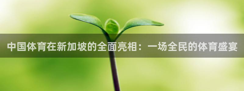 龙门直播足球：中国体育在新加坡的全面亮相：一场全民的体育盛宴