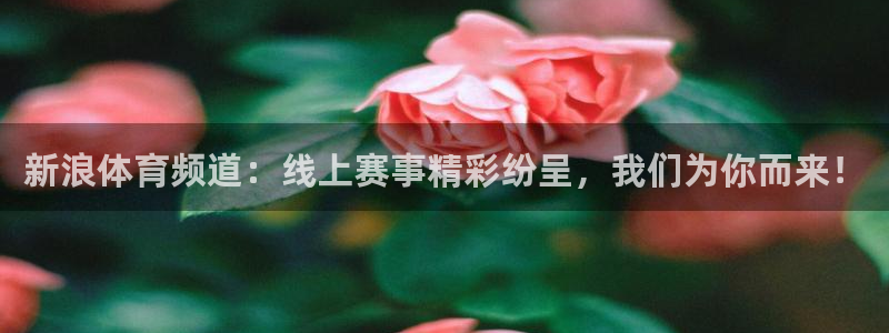 龙门直播app足球直播下载：新浪体育频道：线上赛事精彩纷呈，我们为你而来！