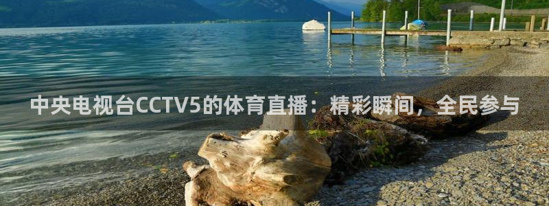 龙门直播app足球直播下载：中央电视台CCTV5的体育直播：精彩瞬间，全民参与