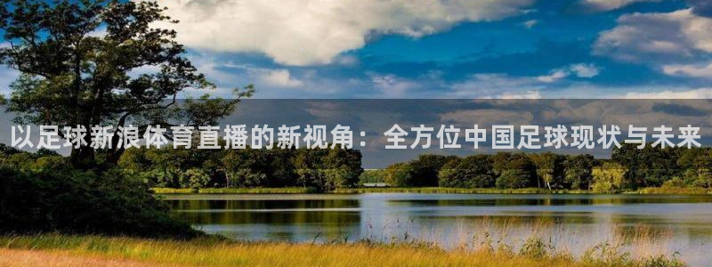 下载龙门体育直播：以足球新浪体育直播的新视角：全方位中国足球现状与未来
