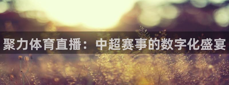 下载龙门体育直播：聚力体育直播：中超赛事的数字化盛宴
