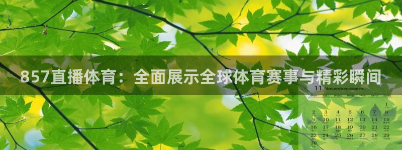 下载龙门直播：857直播体育：全面展示全球体育赛事与精彩瞬间