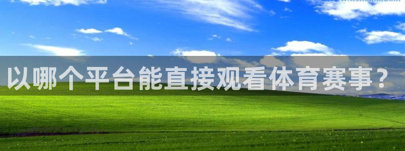 龙门直播下载：以哪个平台能直接观看体育赛事？