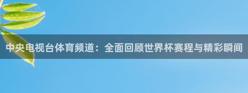 龙门直播吧：中央电视台体育频道：全面回顾世界杯赛程与精彩瞬间