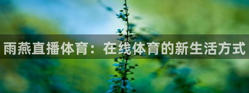 龙门nba直播：雨燕直播体育：在线体育的新生活方式